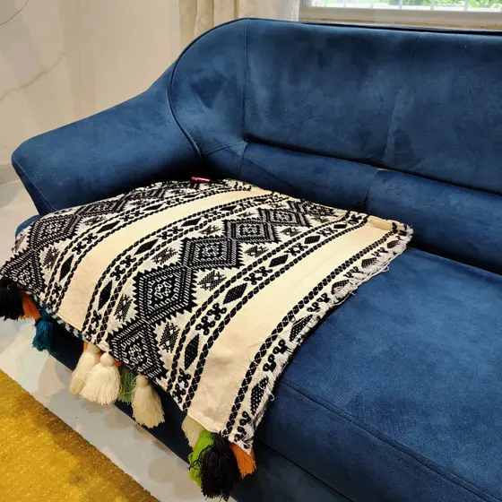 Sofa Cover 29