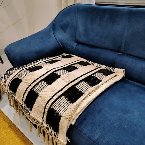 Sofa Cover 38