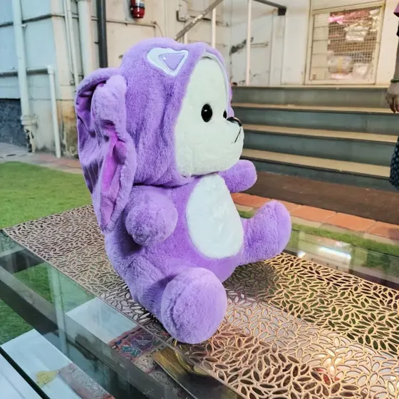 Teddy soft toy